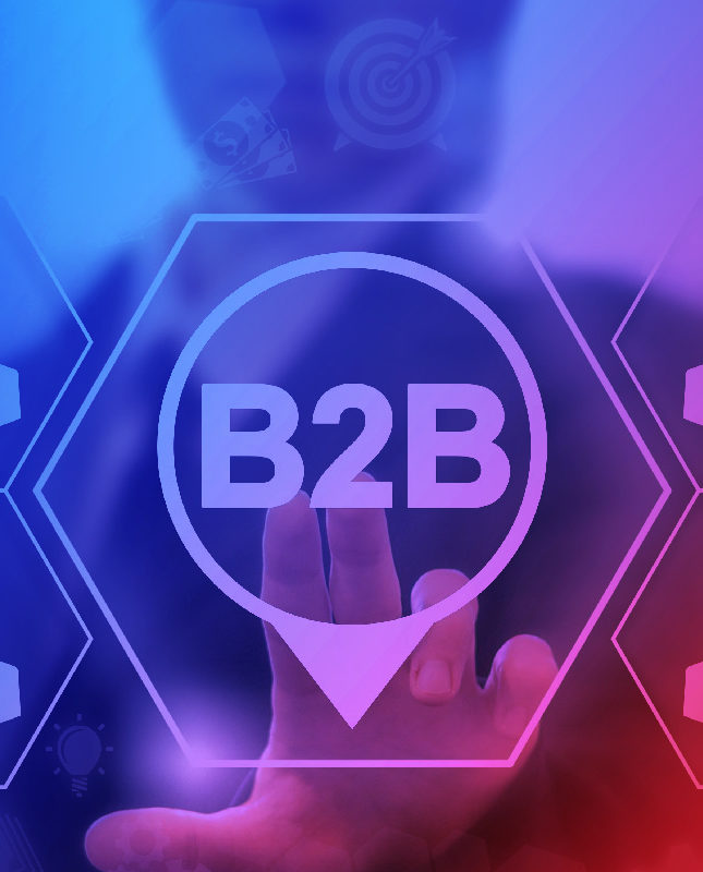 LinkedIn B2B Strategy